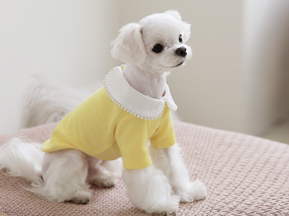 진주 카라 강아지 티셔츠 - 옐로우애견의류,애견옷
